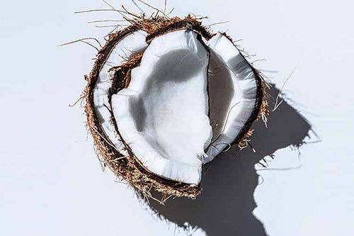 Two-Pieces-of-Coconut-on-Top-of-Each-Other
